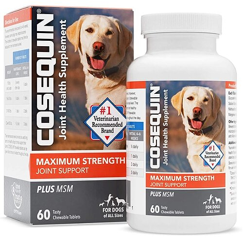 Cosequin Maximum Strength + MSM Joint Support